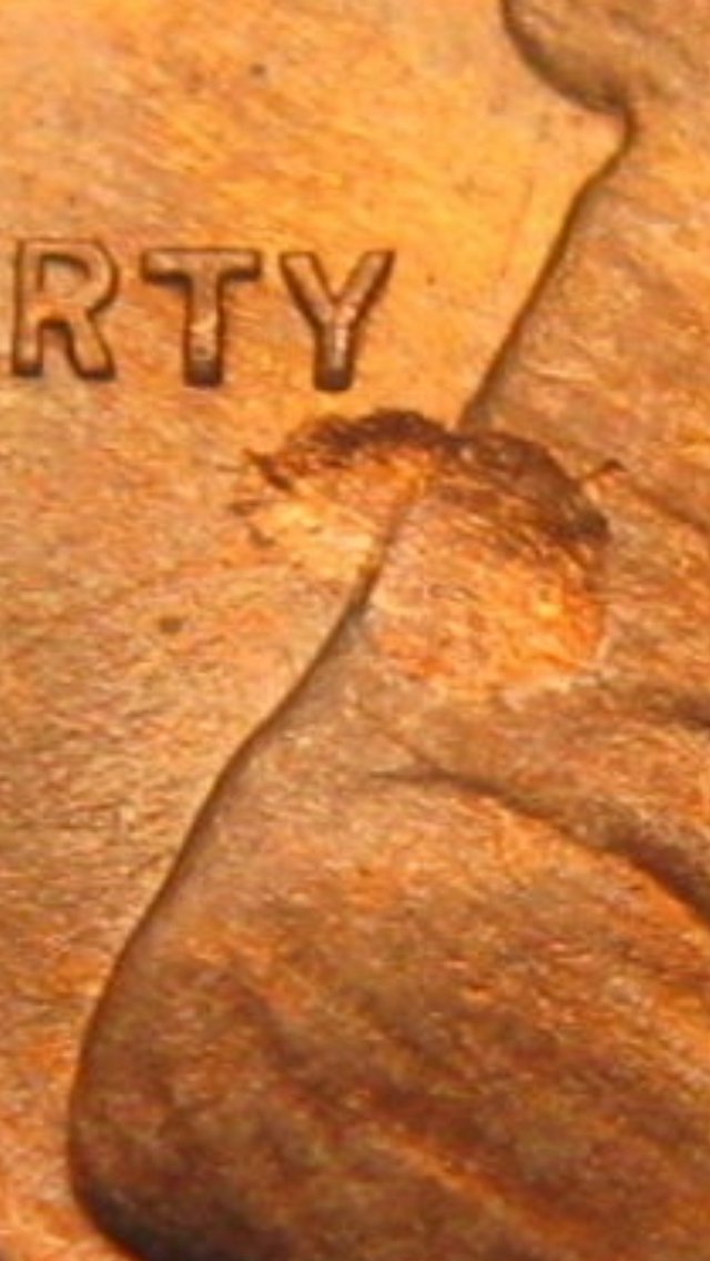 IMG_1090.PNG