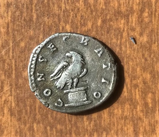 IMG_1126[2131]Antoninus Pius Reverse.jpg