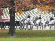 IMG_1161.jpg