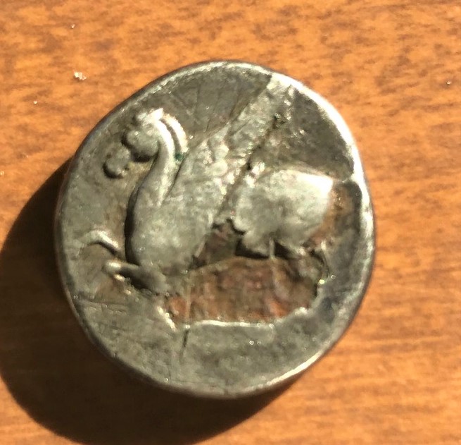 IMG_1228[2885]Cor stater pegasus.jpg