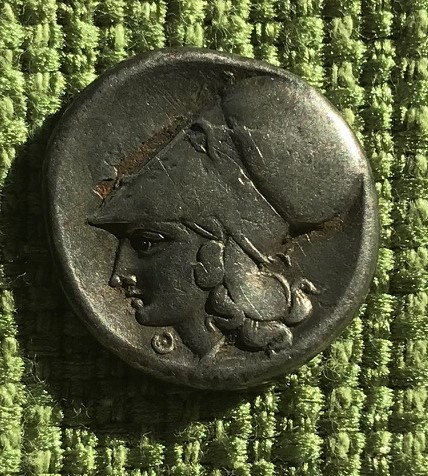 IMG_1229[2891]Green Cor Athena.jpg