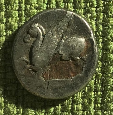 IMG_1230[2895]Green cor pegasus.jpg