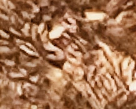 IMG_1370.jpeg