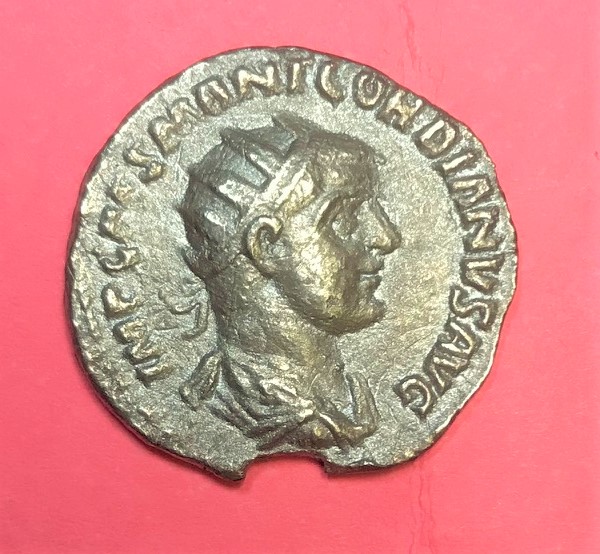 IMG_1375[5488]Gordian III obv..jpg