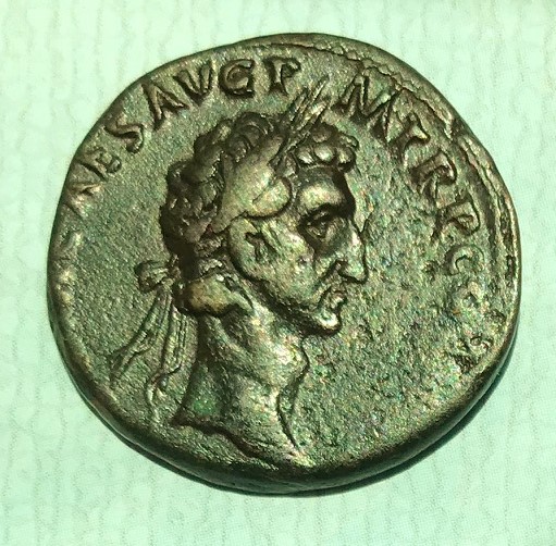 IMG_1457[5842]Nerva As obv.jpg