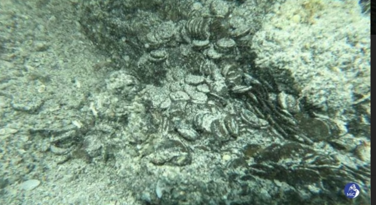 IMG_1513.jpeg
