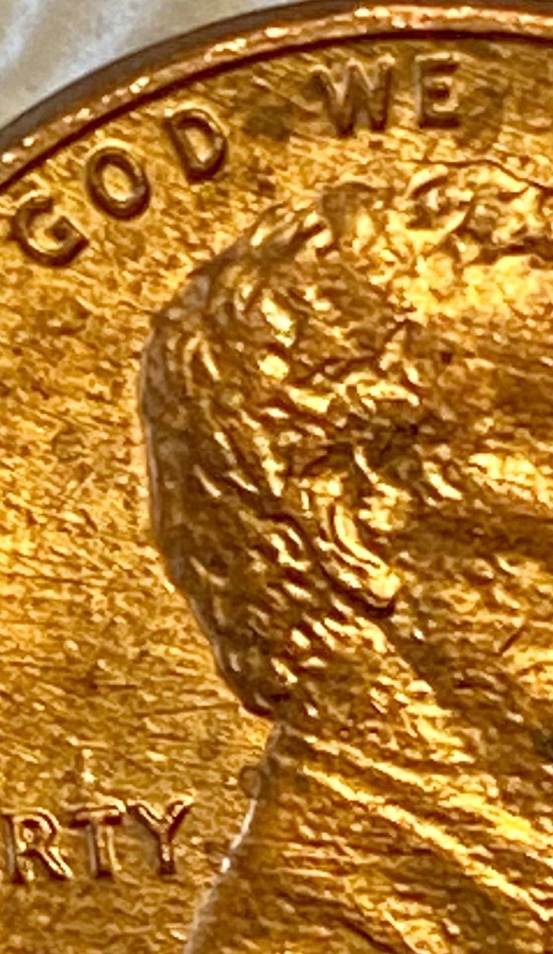 IMG_1828.jpeg