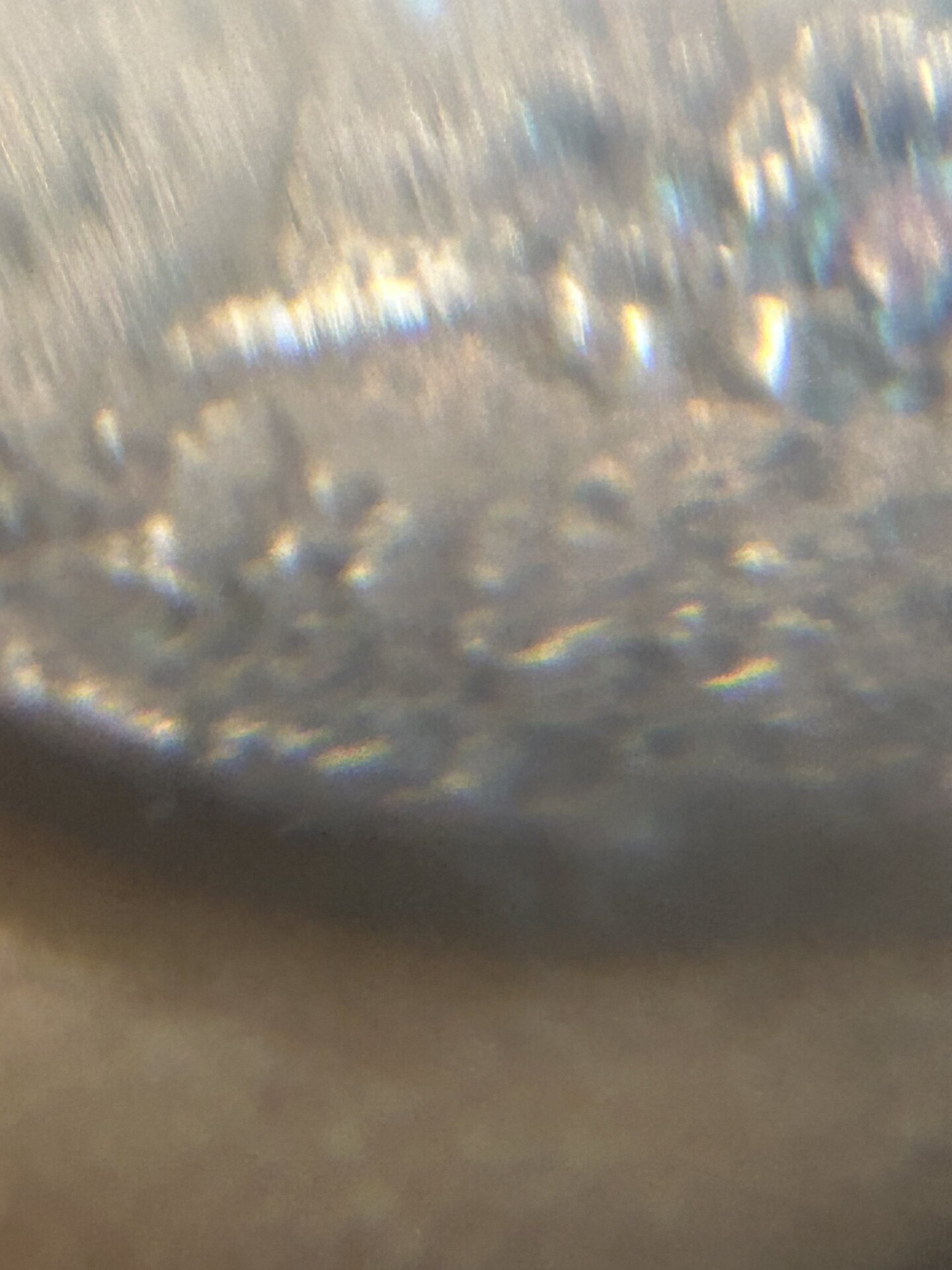 IMG_1891.jpeg