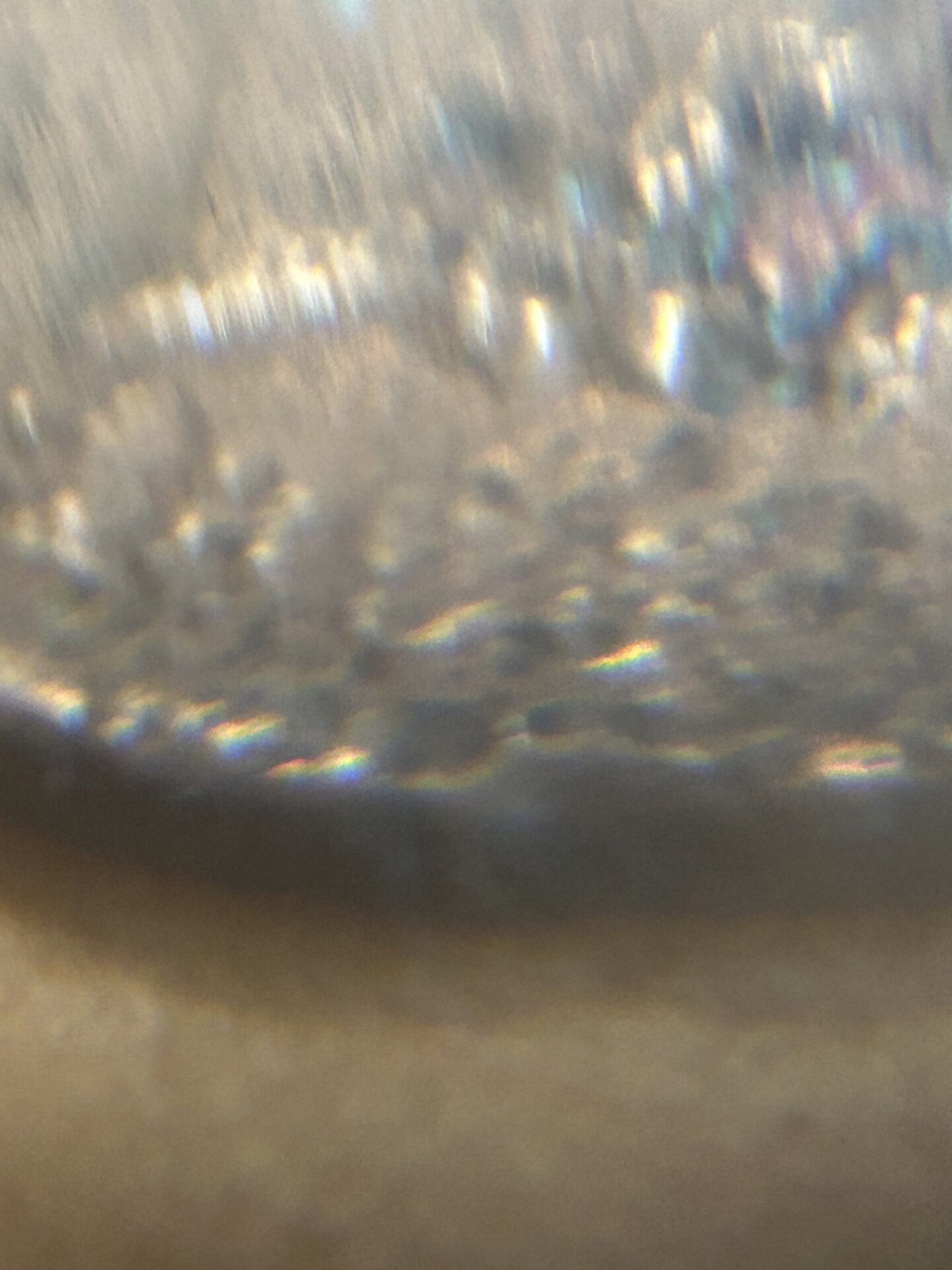 IMG_1892.jpeg