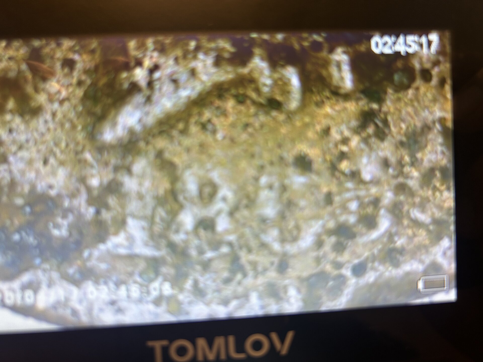 IMG_1903.jpeg