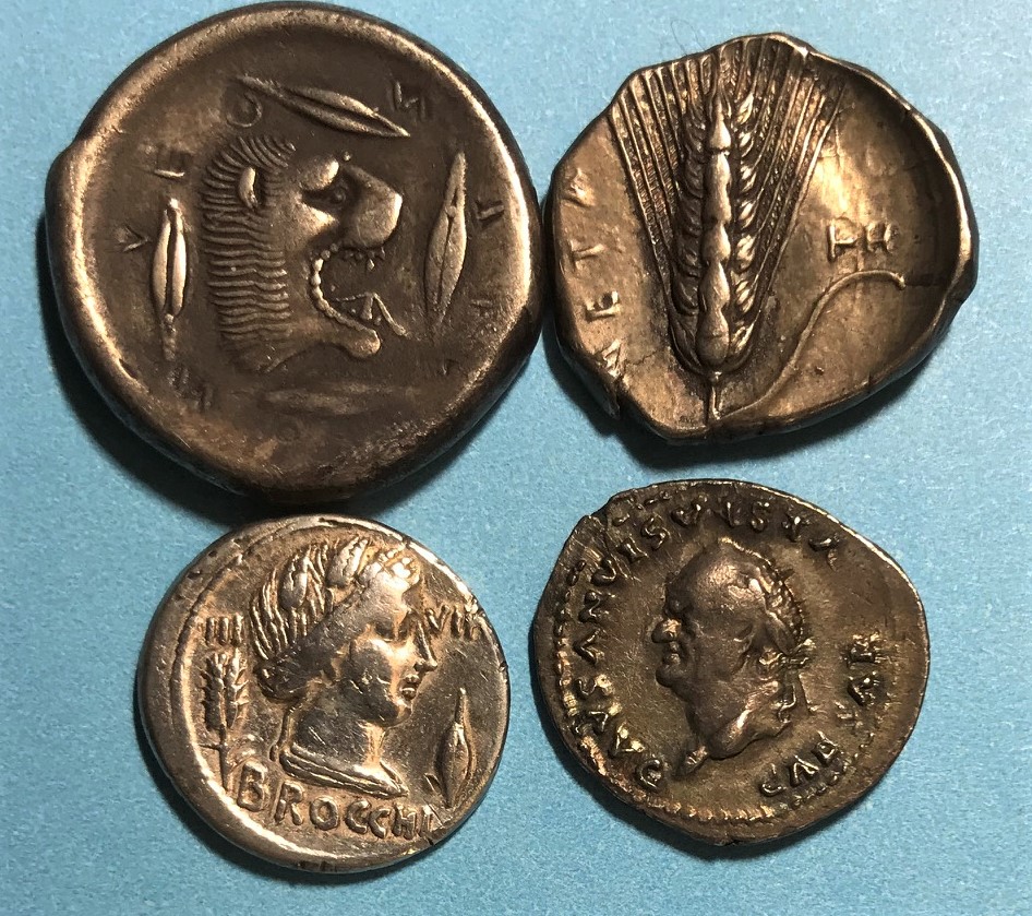 IMG_1921Grain coins obv.jpg