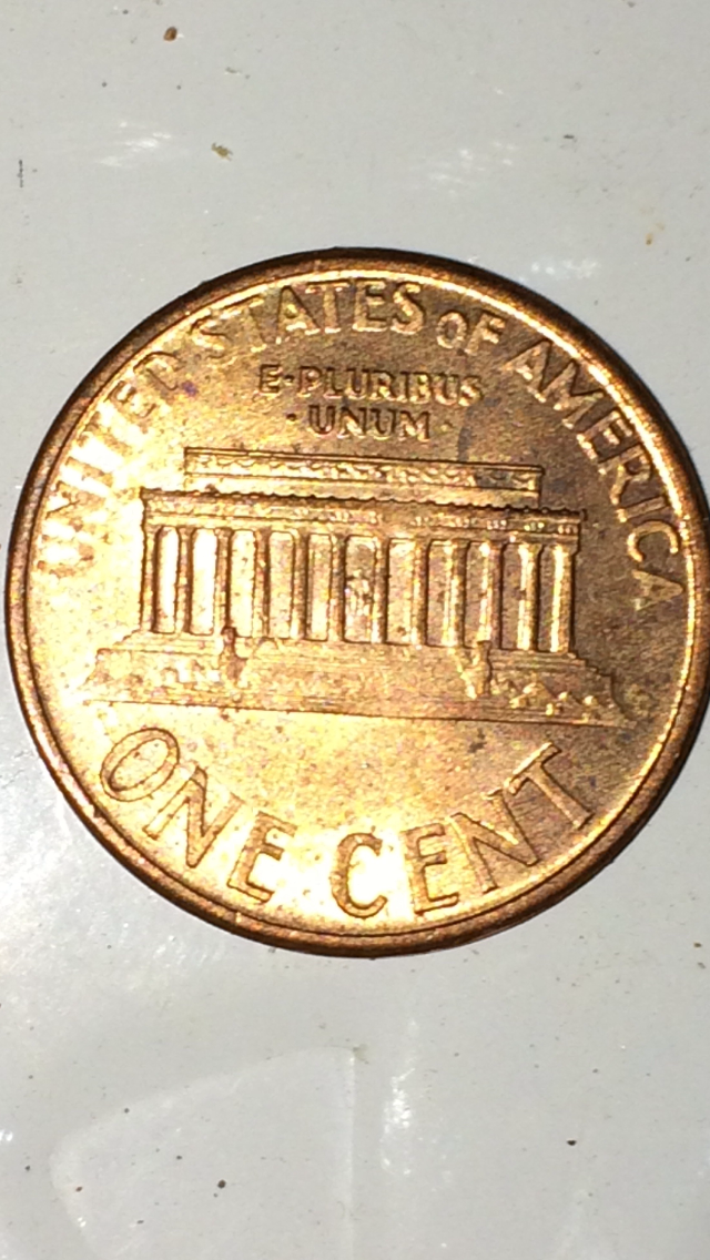 IMG_1955.PNG