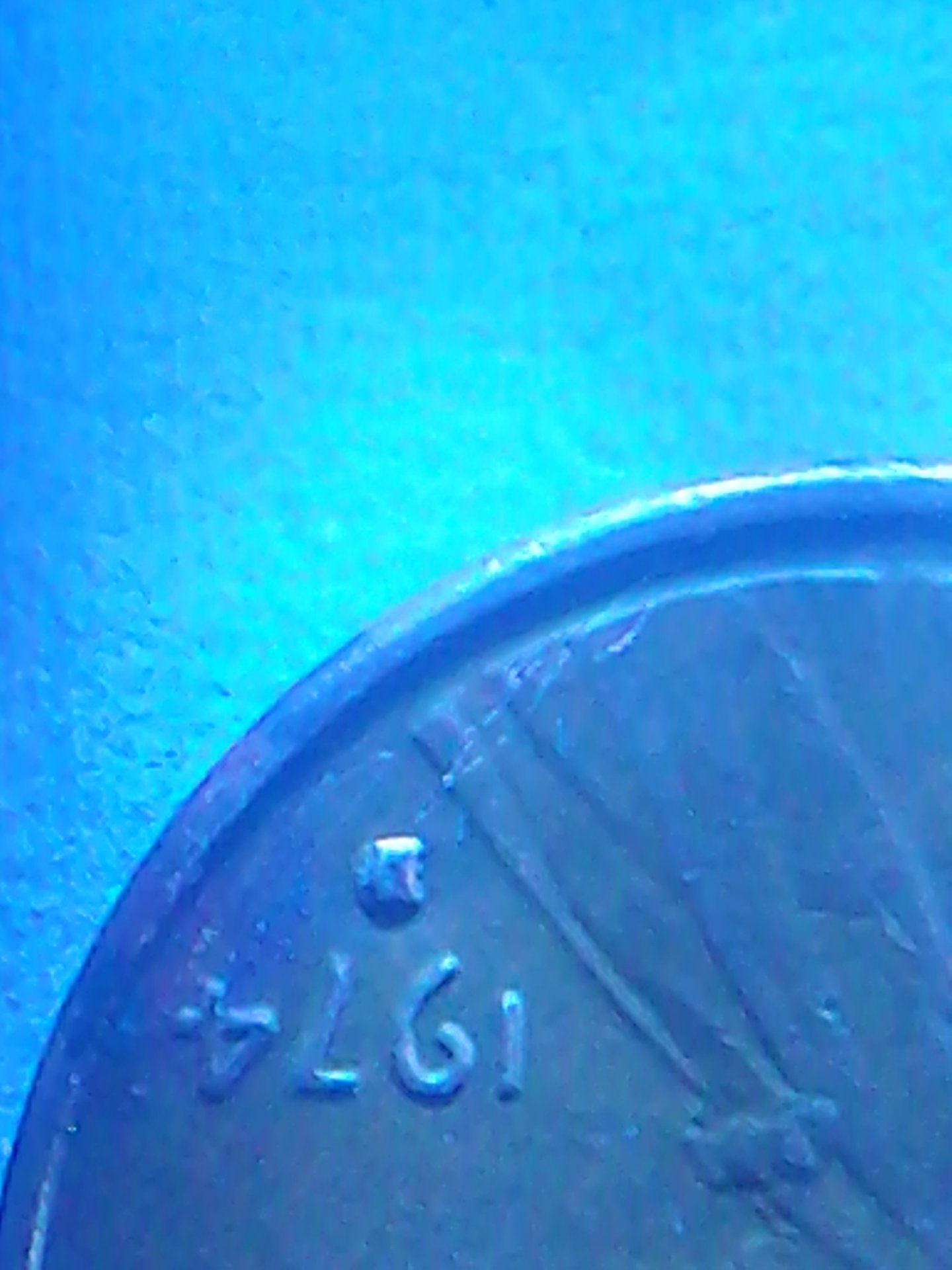 IMG_20141108_123932.jpg