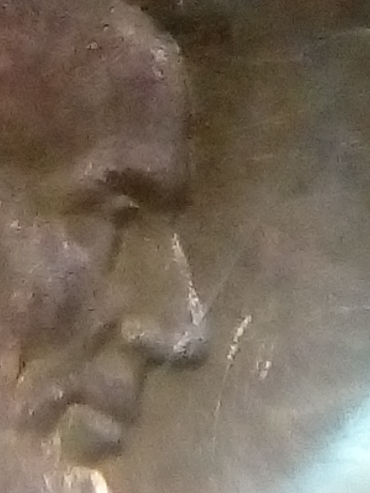 IMG_20161224_093706.jpg