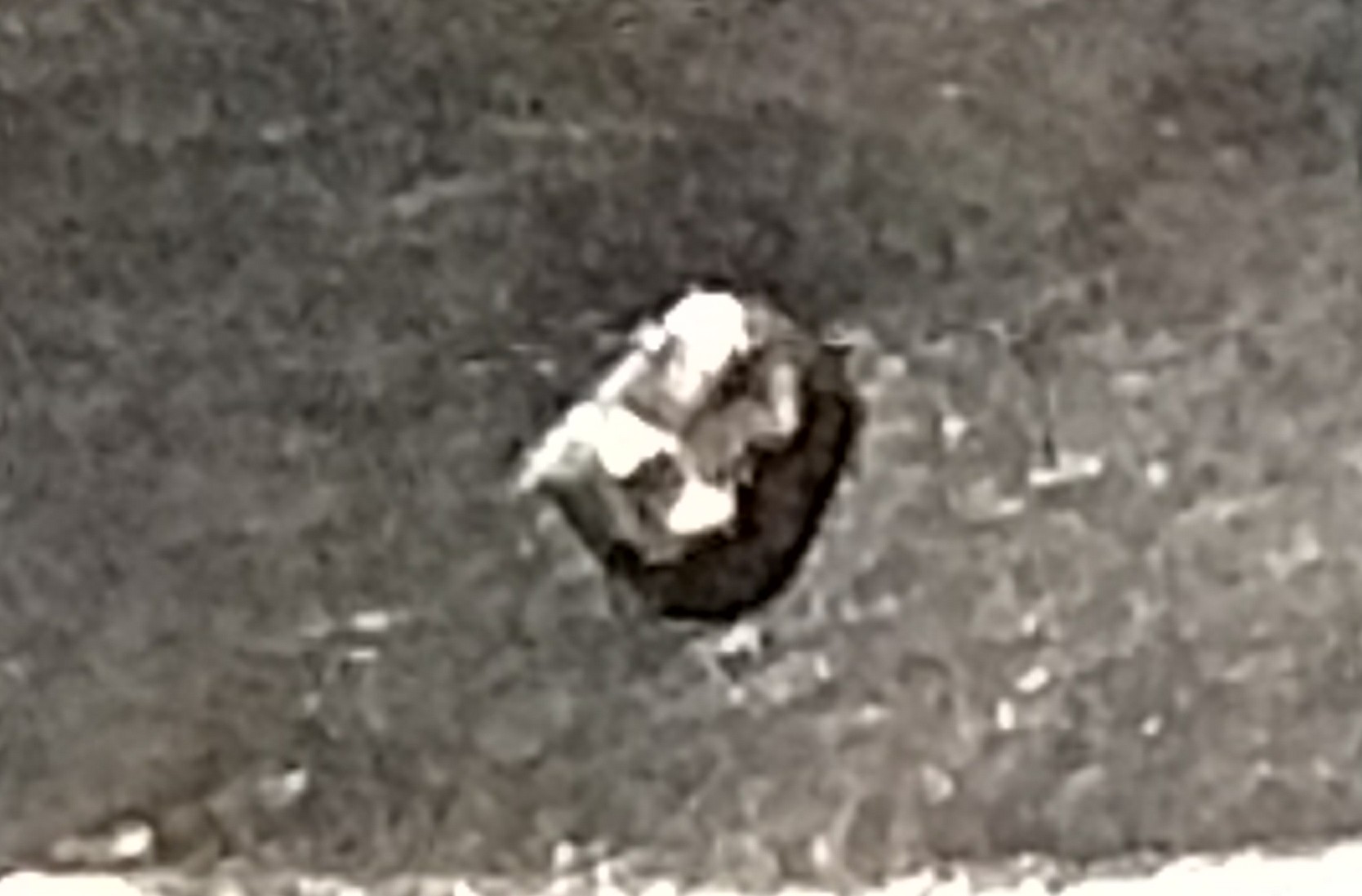 IMG_20170905_225811273.jpg