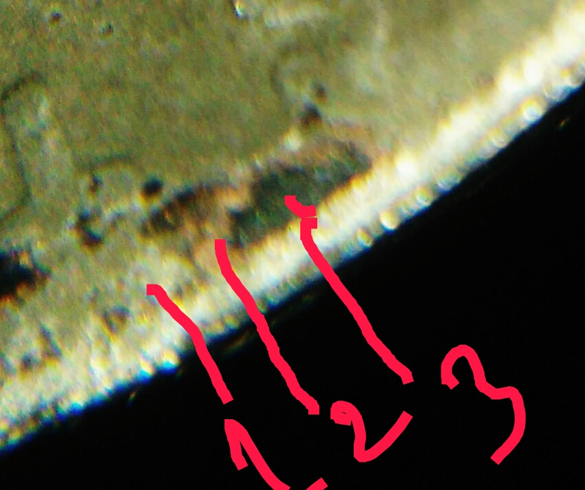 IMG_20180604_170644.jpg