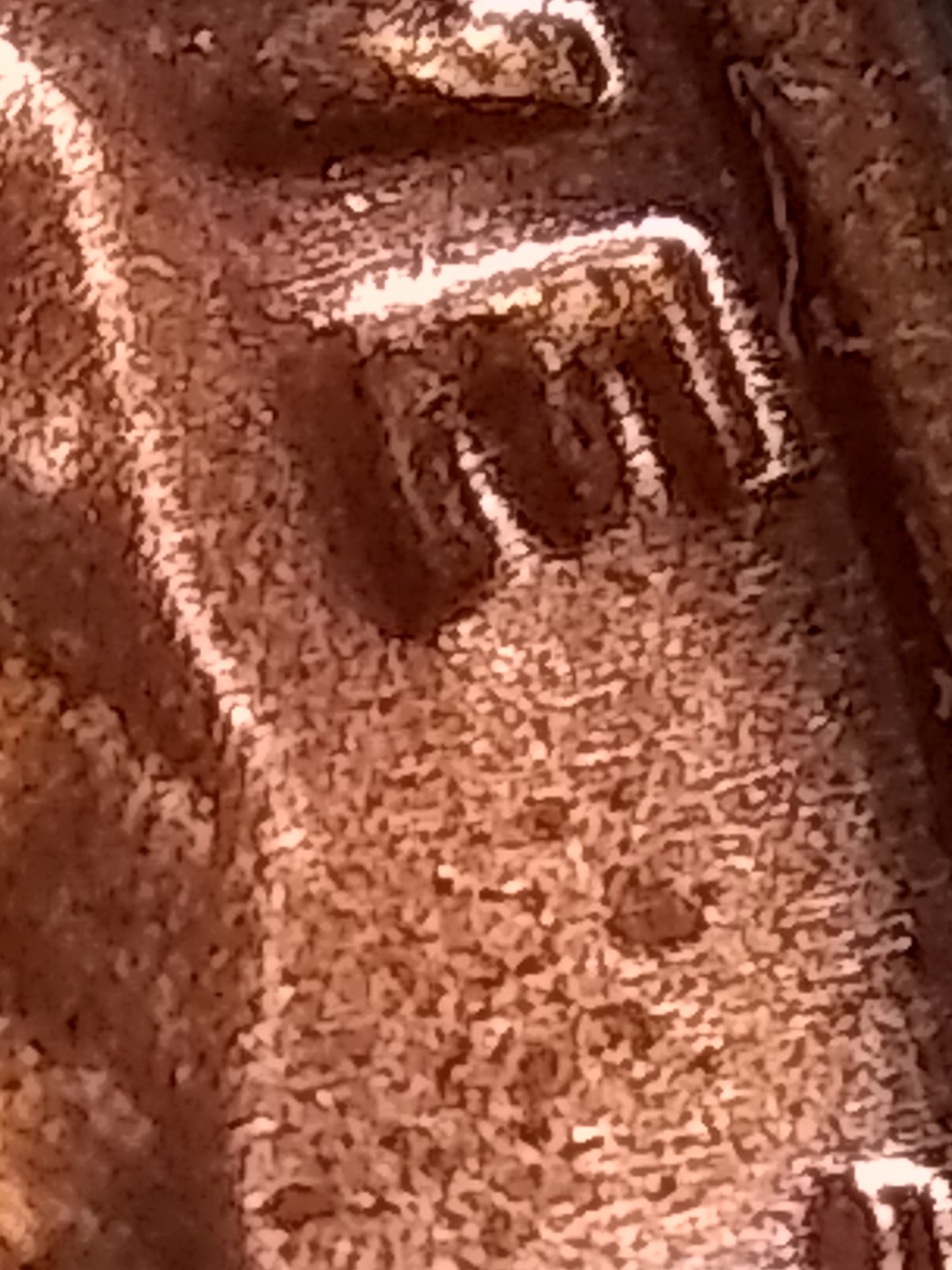 IMG_20180928_235942083.jpg