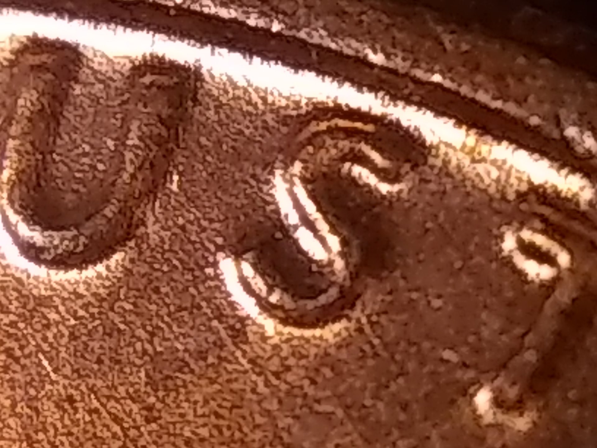 IMG_20180929_000012638.jpg