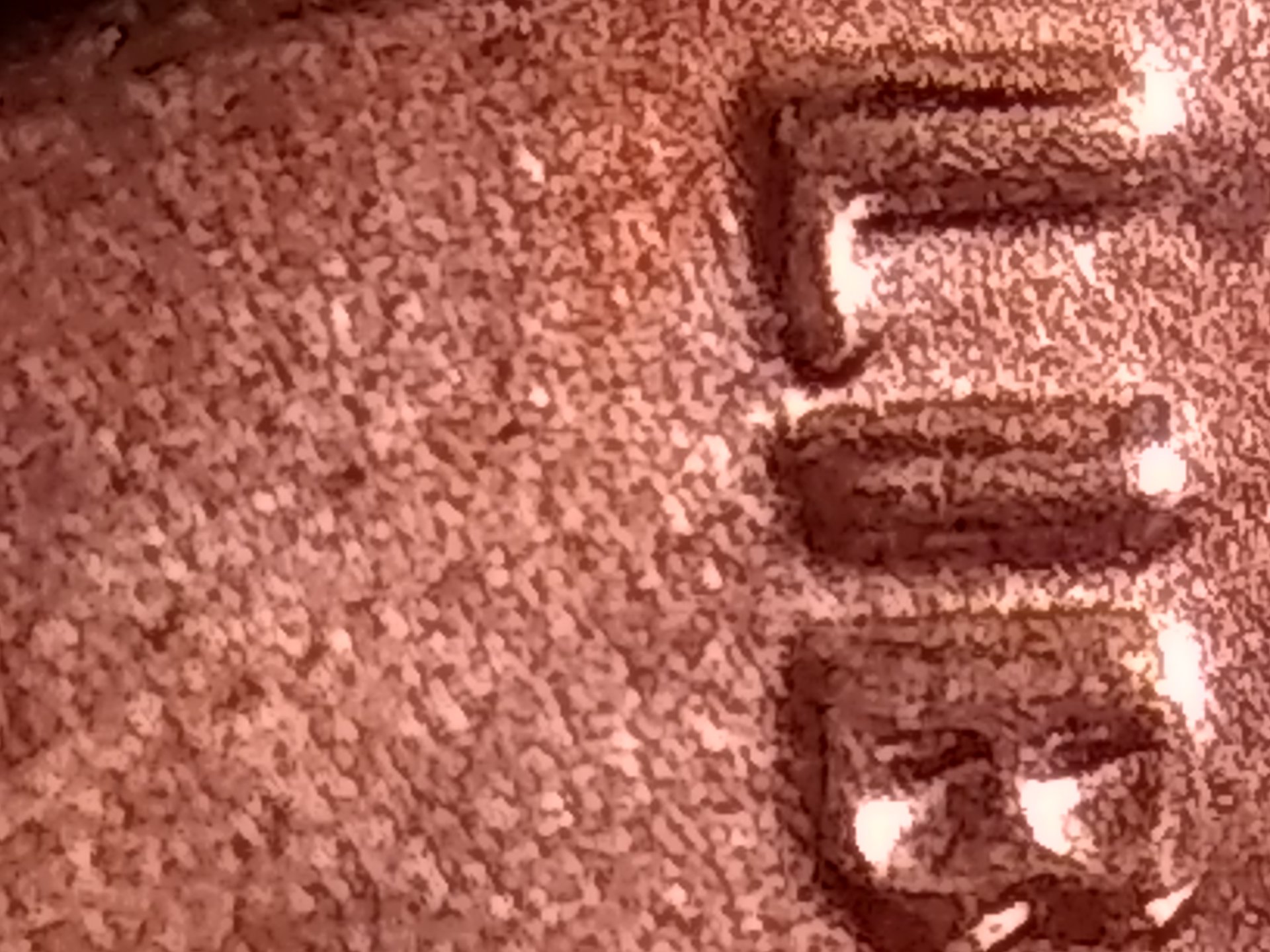 IMG_20181003_020136820.jpg