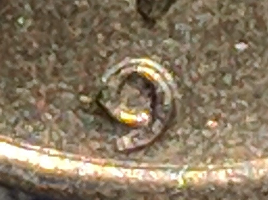 IMG_20190626_095814.jpg