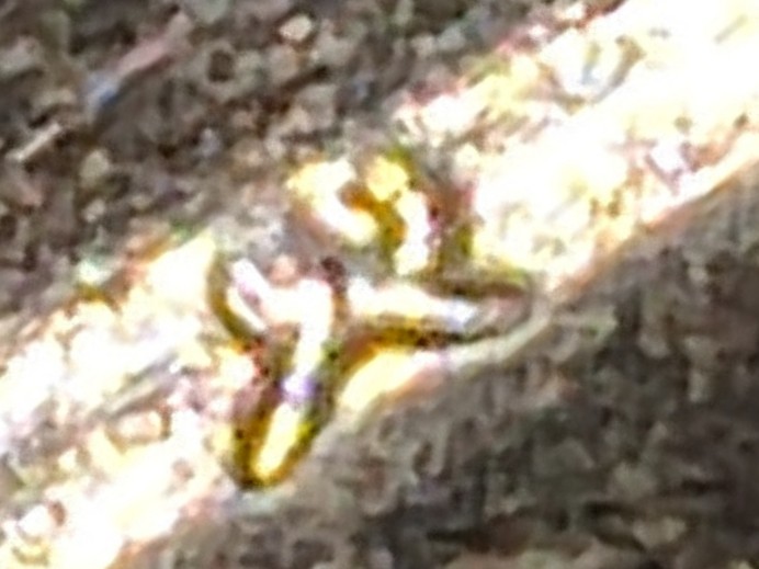 IMG_20190626_100221.jpg