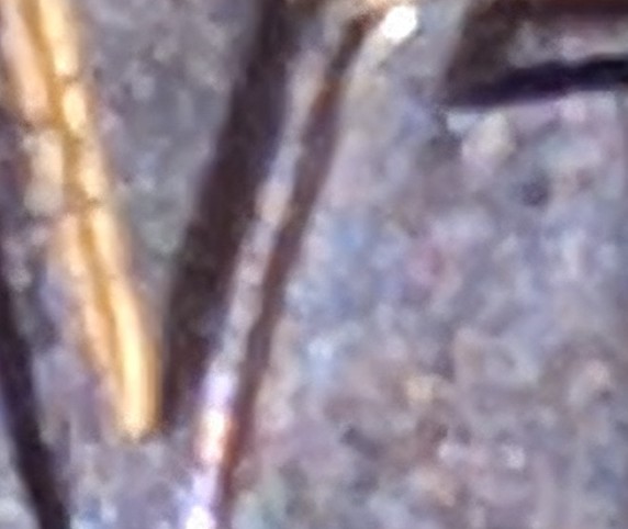 IMG_20190721_150315.jpg