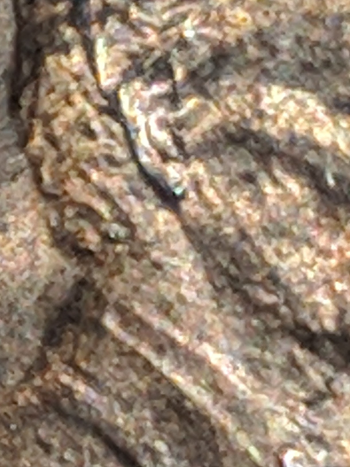 IMG_20190721_164449.jpg