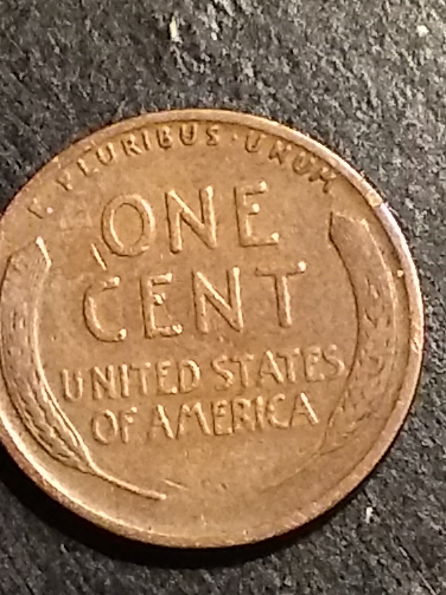 IMG_20190925_030338340.jpg