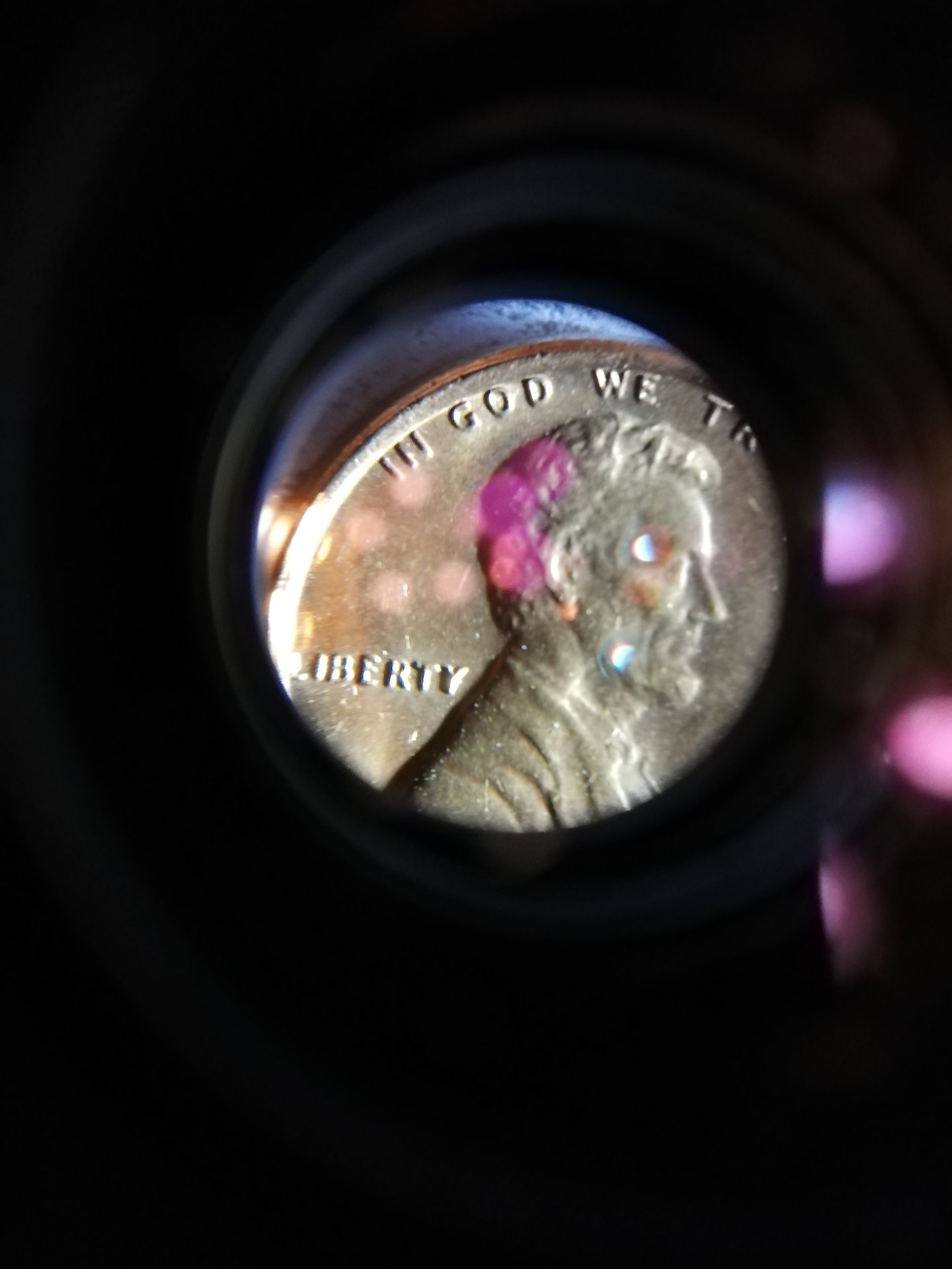 IMG_20191107_200342.jpg