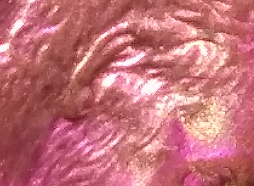 IMG_20191112_010632-1.jpg