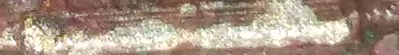 IMG_20191112_215112-1.jpg