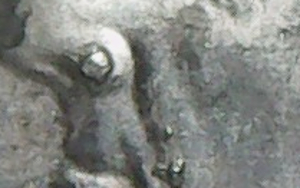 IMG_201_205239.jpg