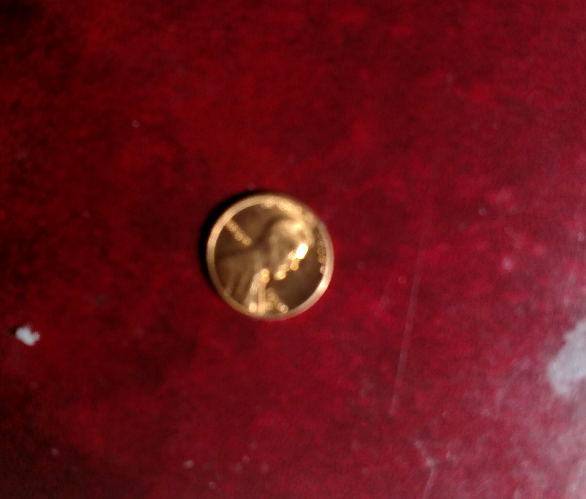 IMG_20200307_033948.jpg