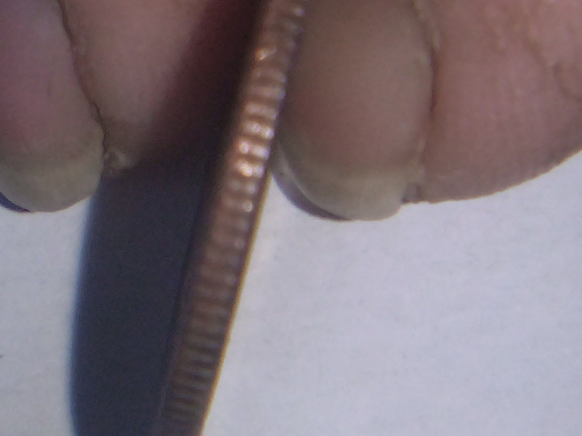 IMG_20200401_002559_1.jpg