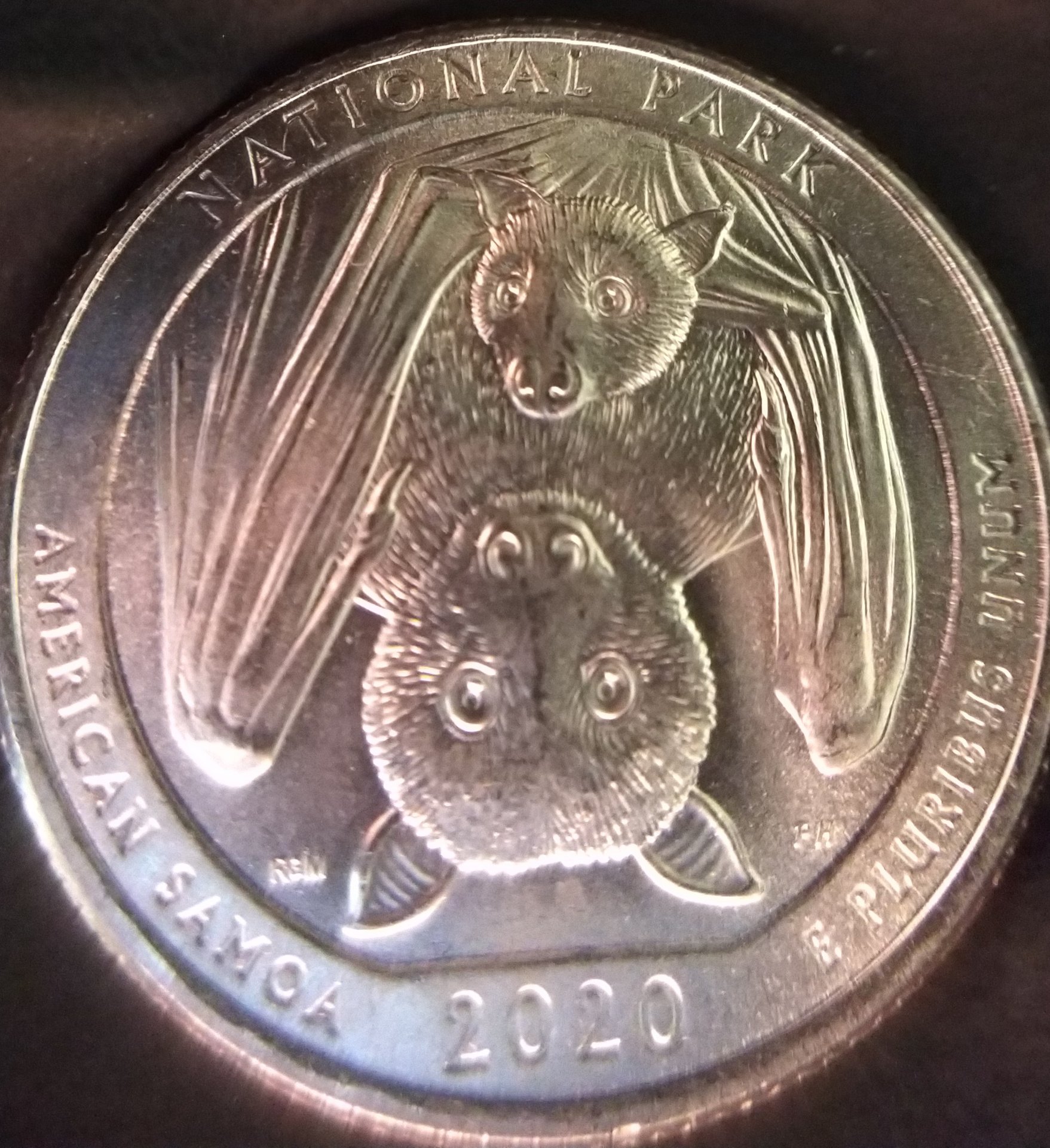 2020 p samoa quarter die error coin talk