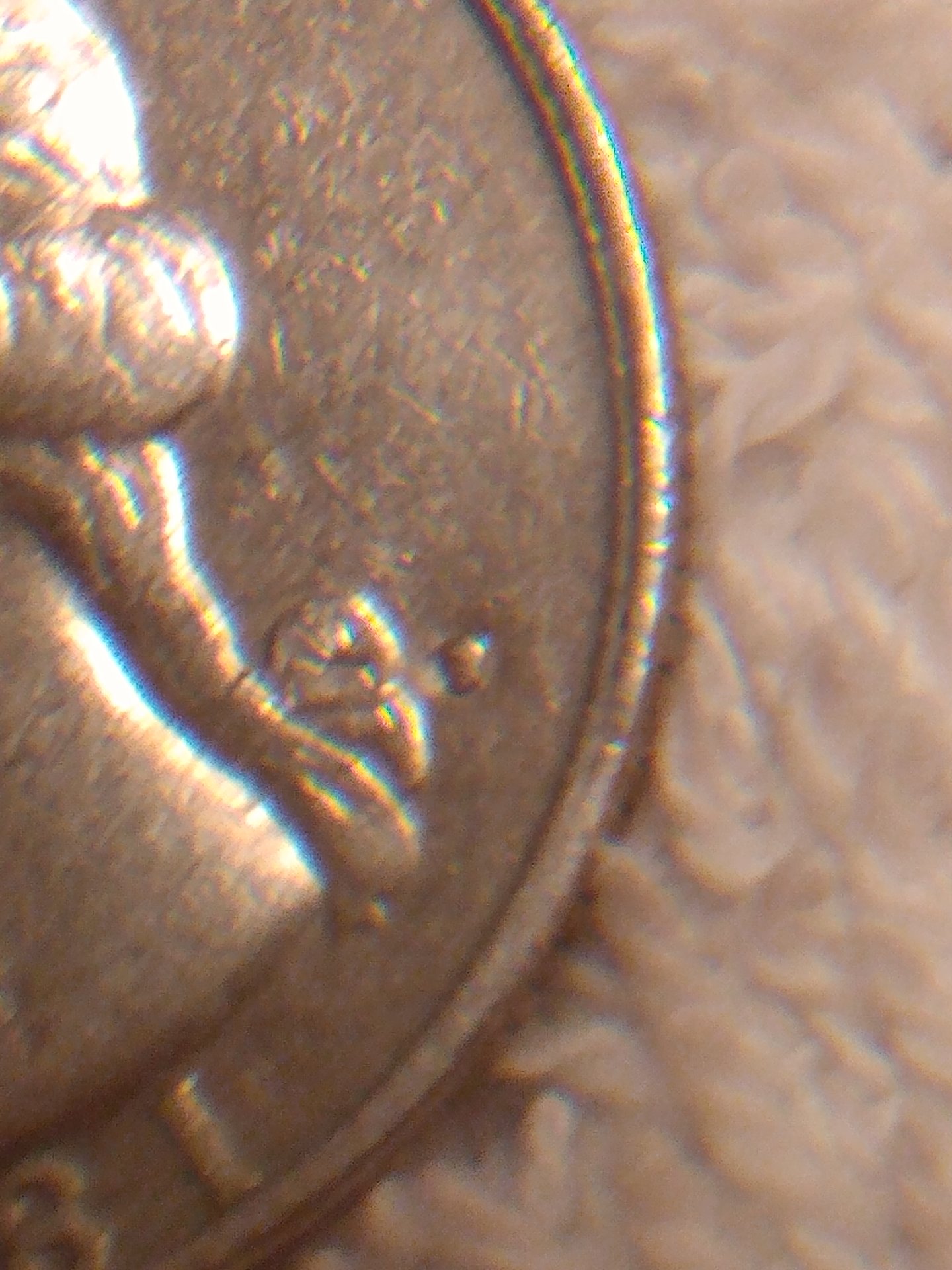IMG_20200707_191456560.jpg
