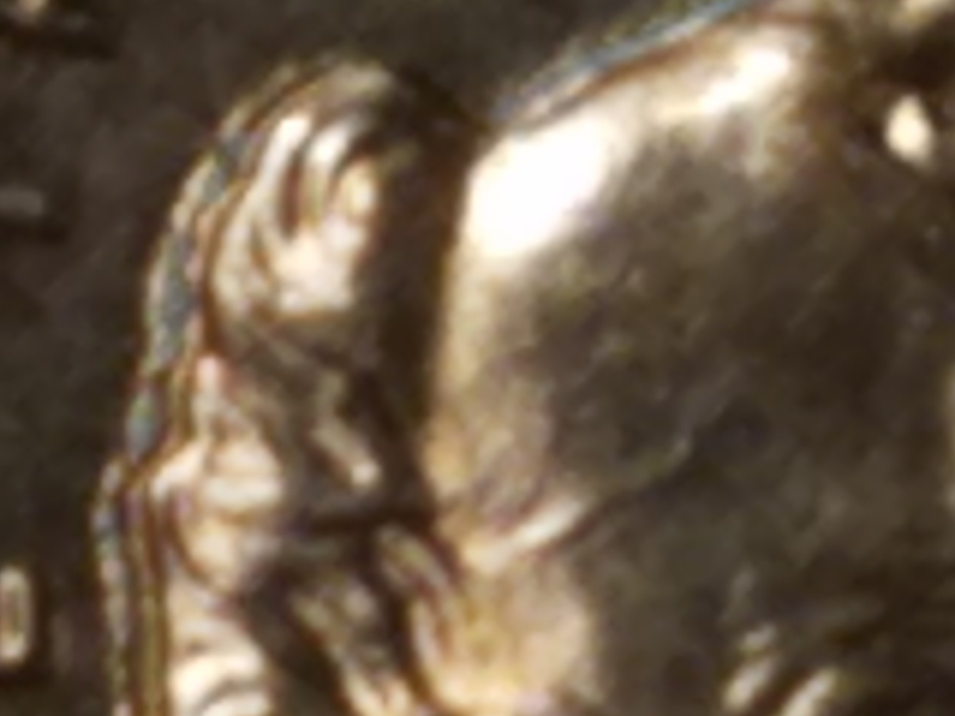 IMG_20201030_044404.jpg
