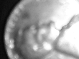 IMG_20201109_011046.jpg