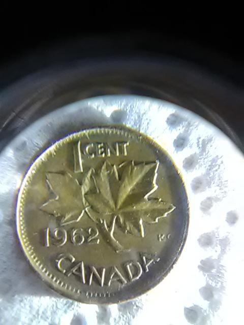 IMG_20201111_084127.jpg