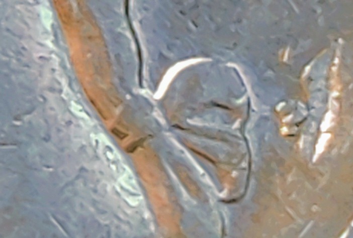 IMG_20201217_095619.jpg