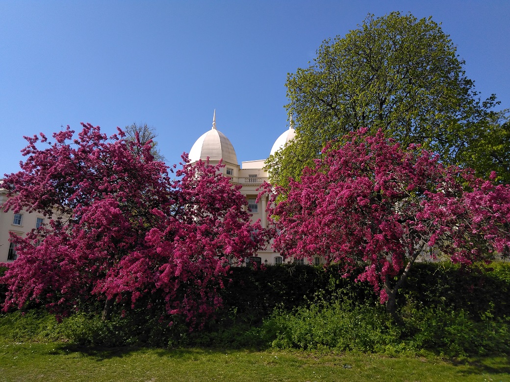 IMG_20210424_110819.jpg