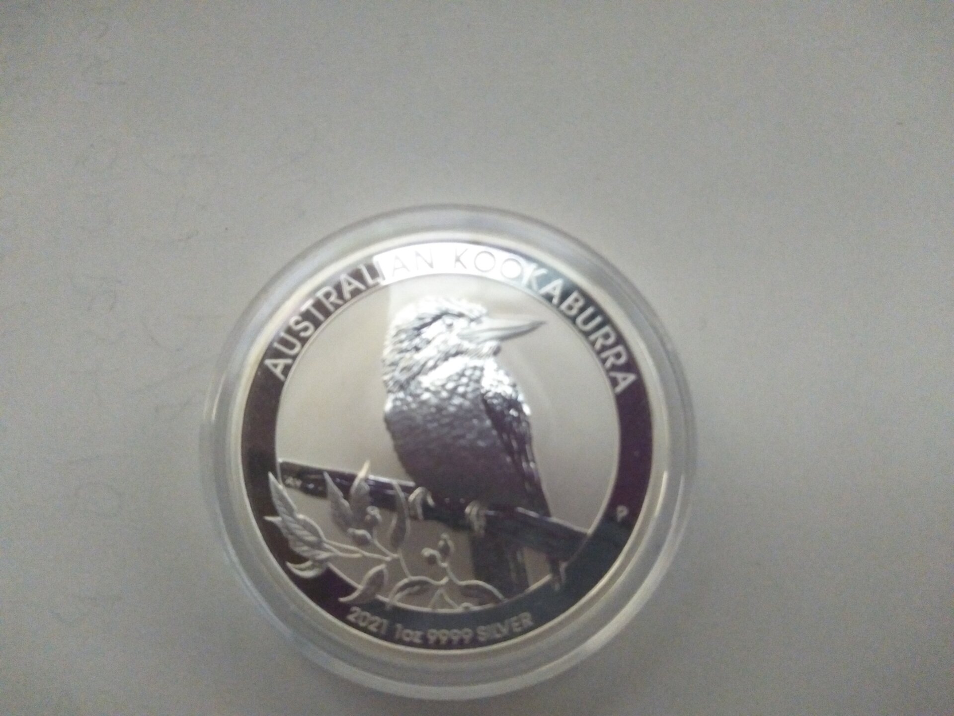 IMG_20210619_180309.jpg