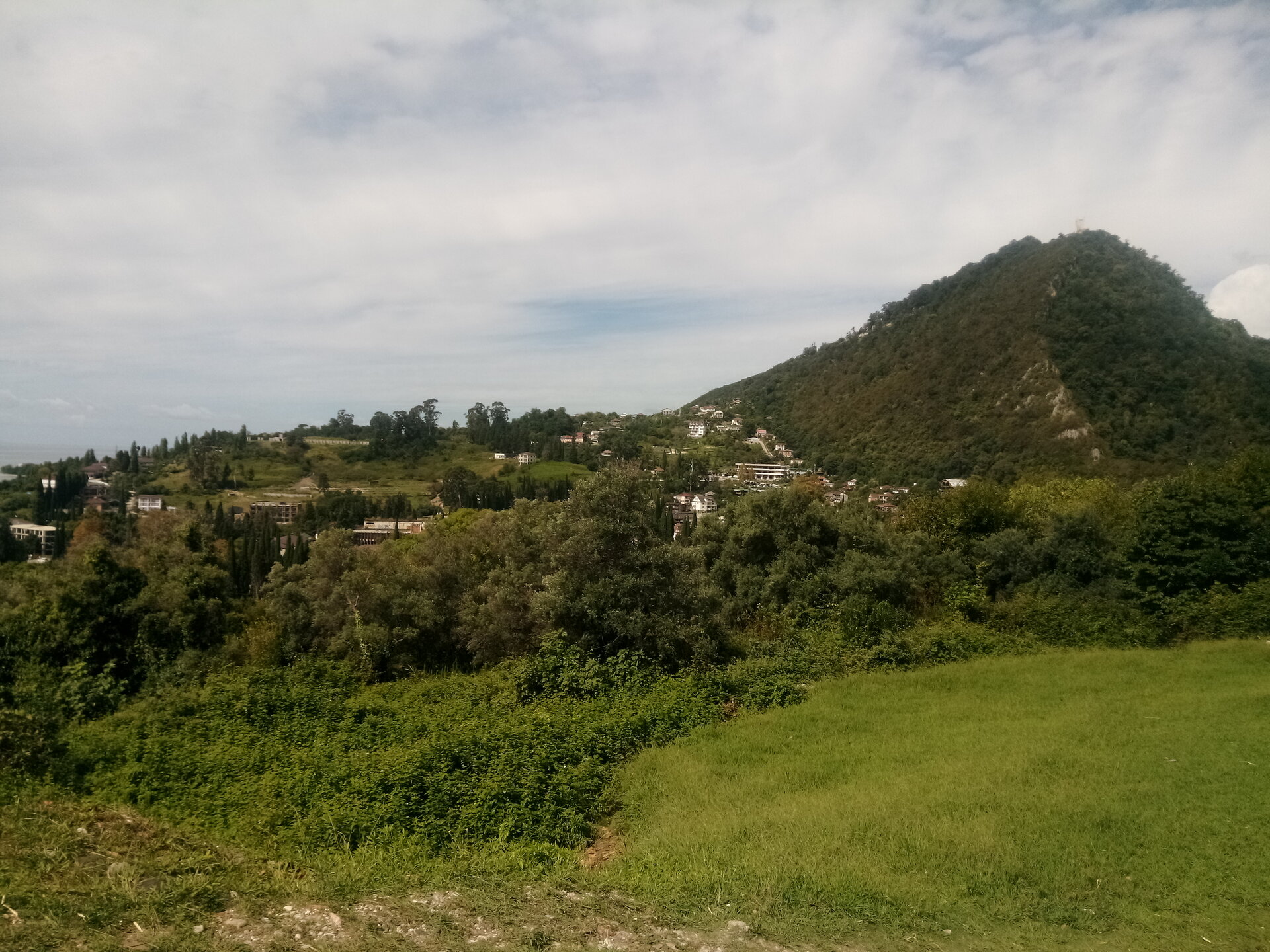 IMG_20210906_150053.jpg