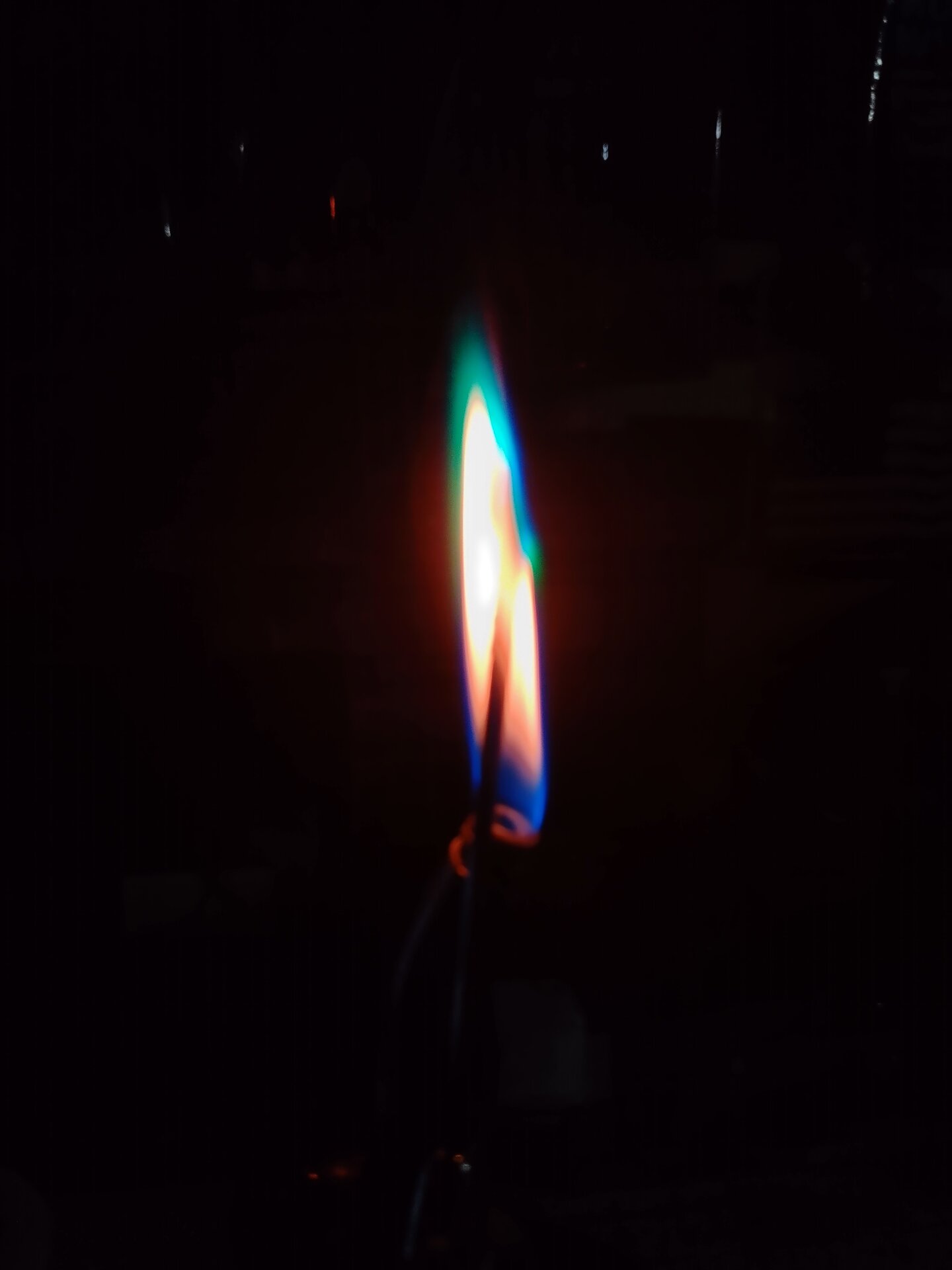 IMG_20211101_103820.jpg