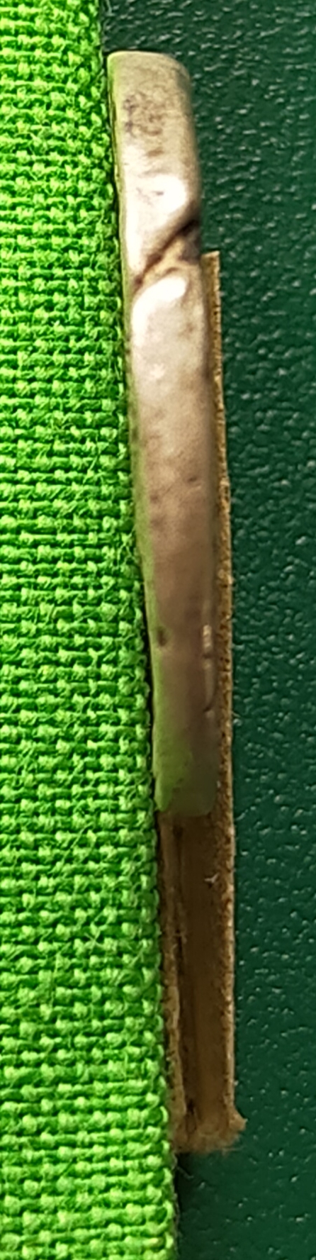 IMG_20220113_102431.jpg