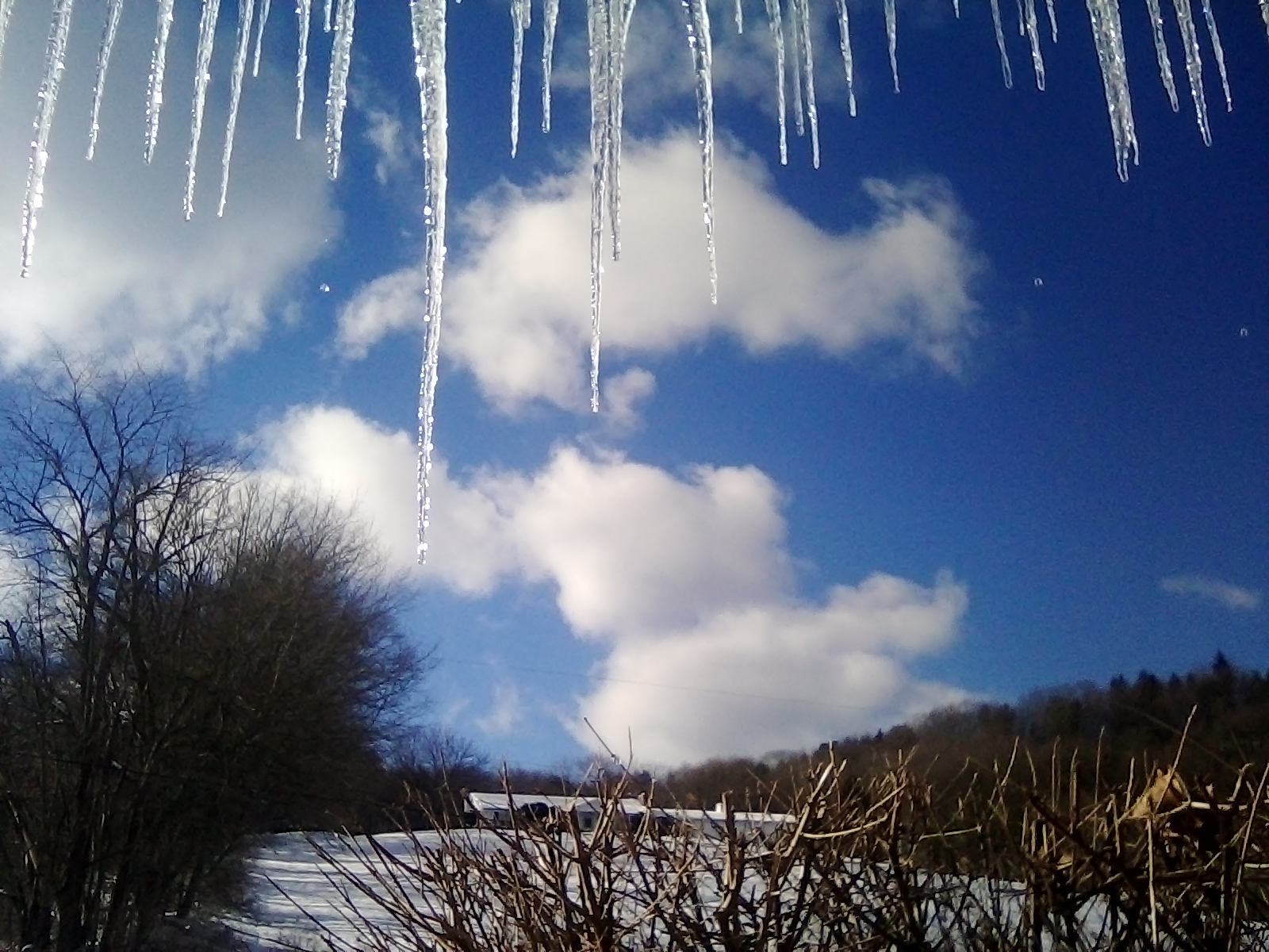 IMG_20220118_140407_4.jpg