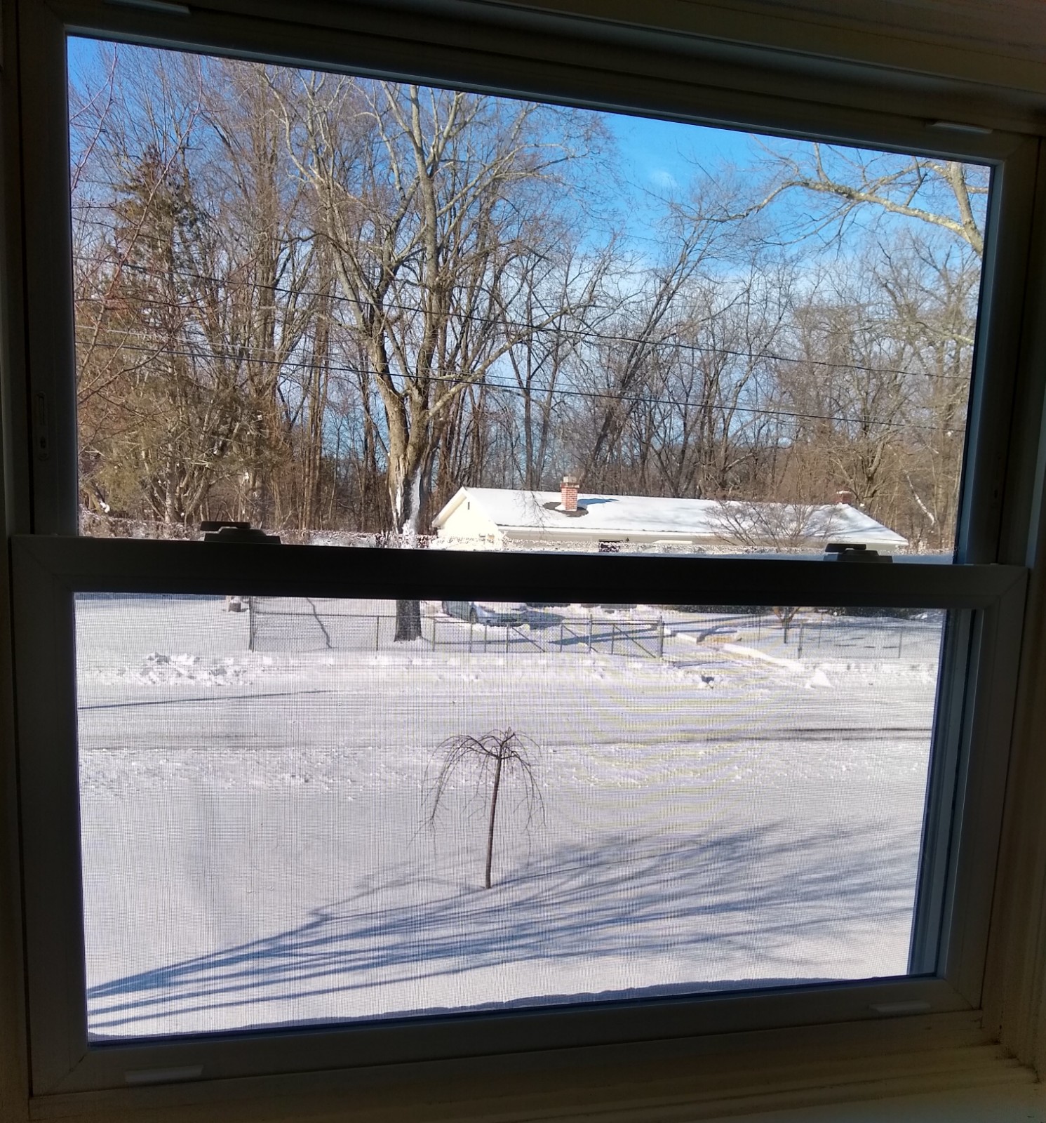 IMG_20220130_094618609_HDR.jpg