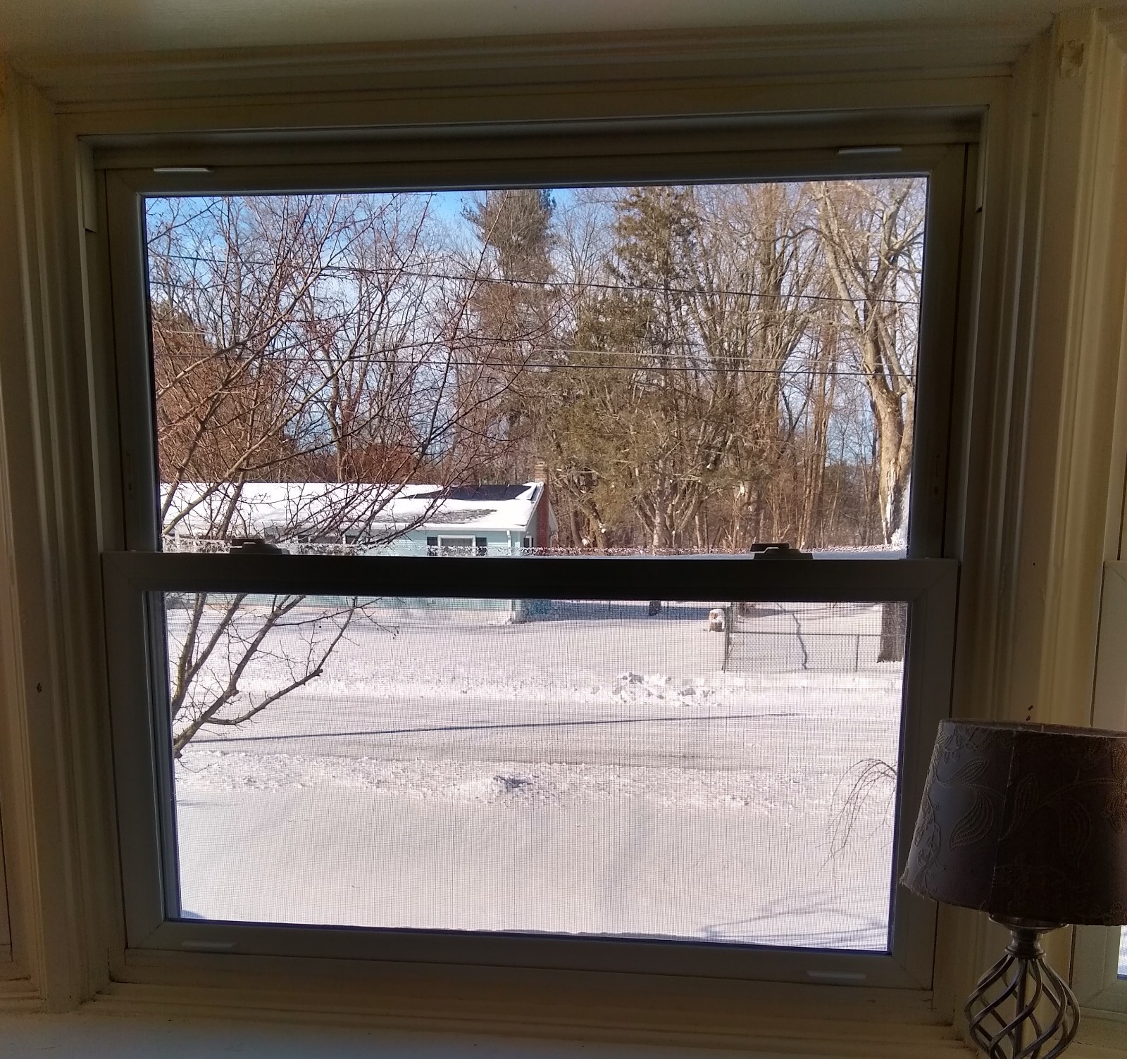 IMG_20220130_094633807_HDR.jpg
