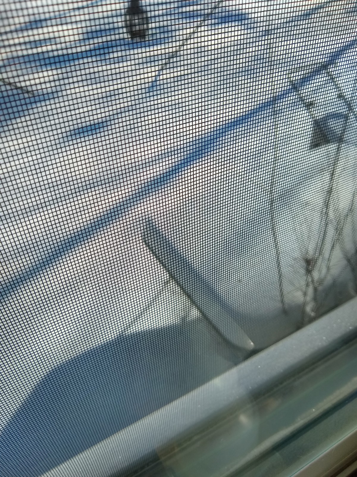 IMG_20220130_095110530_HDR.jpg