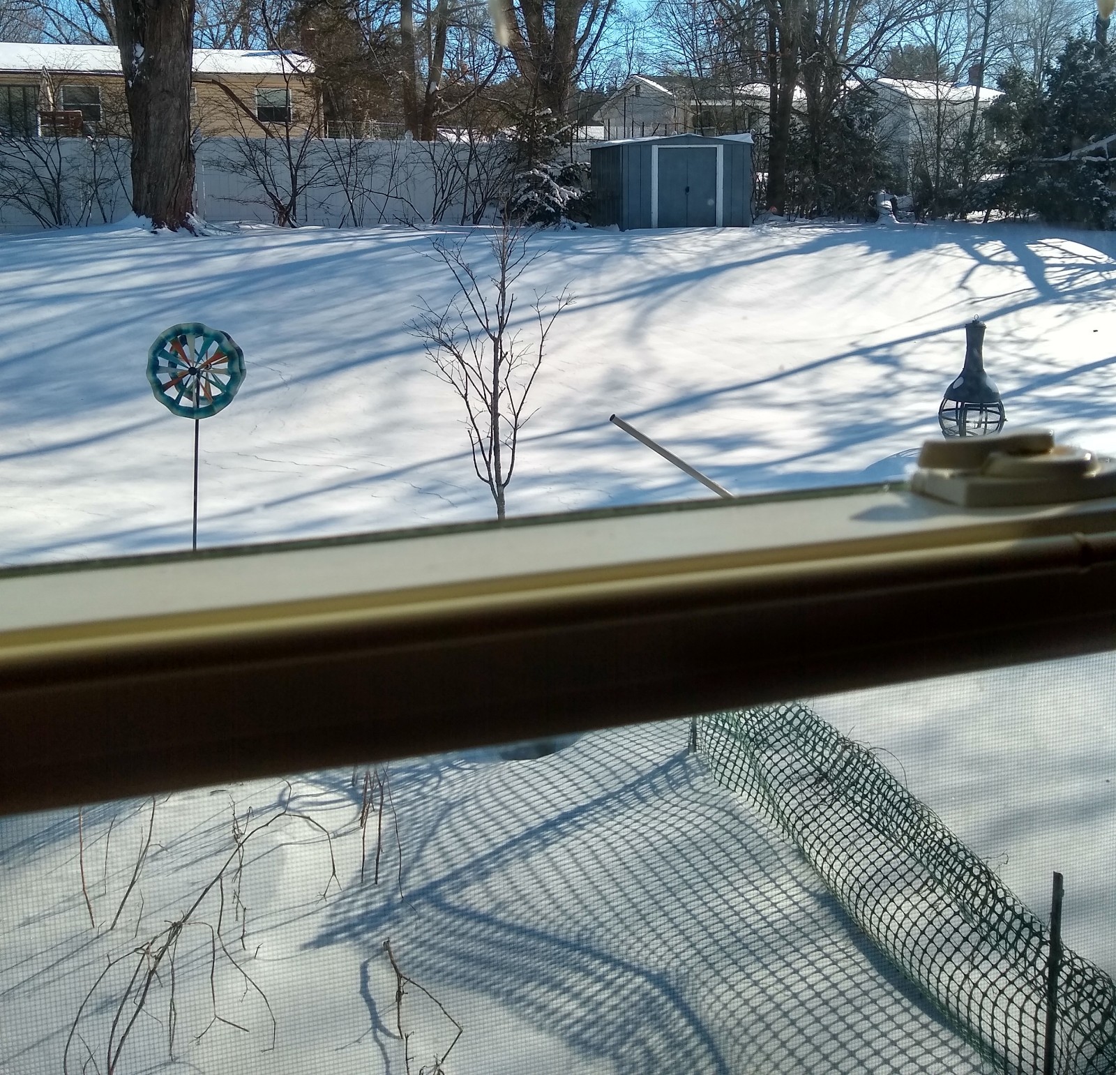 IMG_20220130_095129075_HDR.jpg